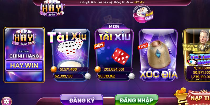 Tìm hiểu chung về Haywin 